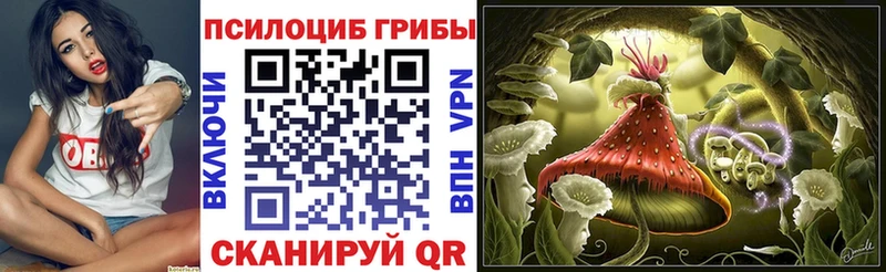 Галлюциногенные грибы Magic Shrooms  Купить закладки  Чекалин 